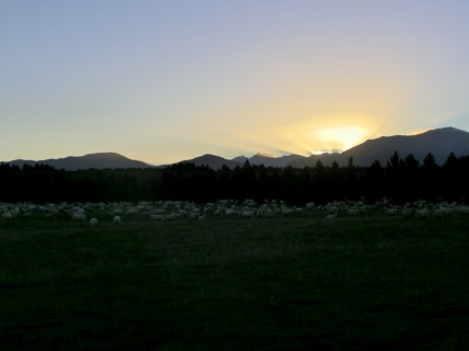 queenstown (40)